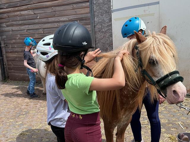 An zwei Terminen ging es für je acht Kinder zu Spiel und Spaß bei den Ponys der „Unicorn Ranch“ von Conny Wolff-Pfister in Kalenberg.  | Foto: Anja Lehmann/K.O.T./pp/Agentur ProfiPress