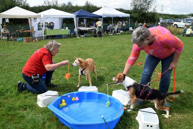 Erfrischender Angelspaß für Mensch und Tier gab es Sommerfest des Alfterer Hundefreizeittreffs von Heike Jung (links).  | Foto: fes