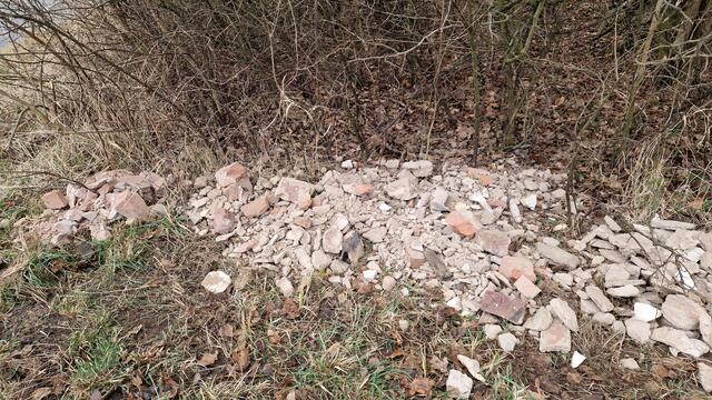 Illegal entsorgter Schutt im Naturschutzgebiet am Rodderberg, Ende Berliner Straße in Niederbachem.  | Foto: as