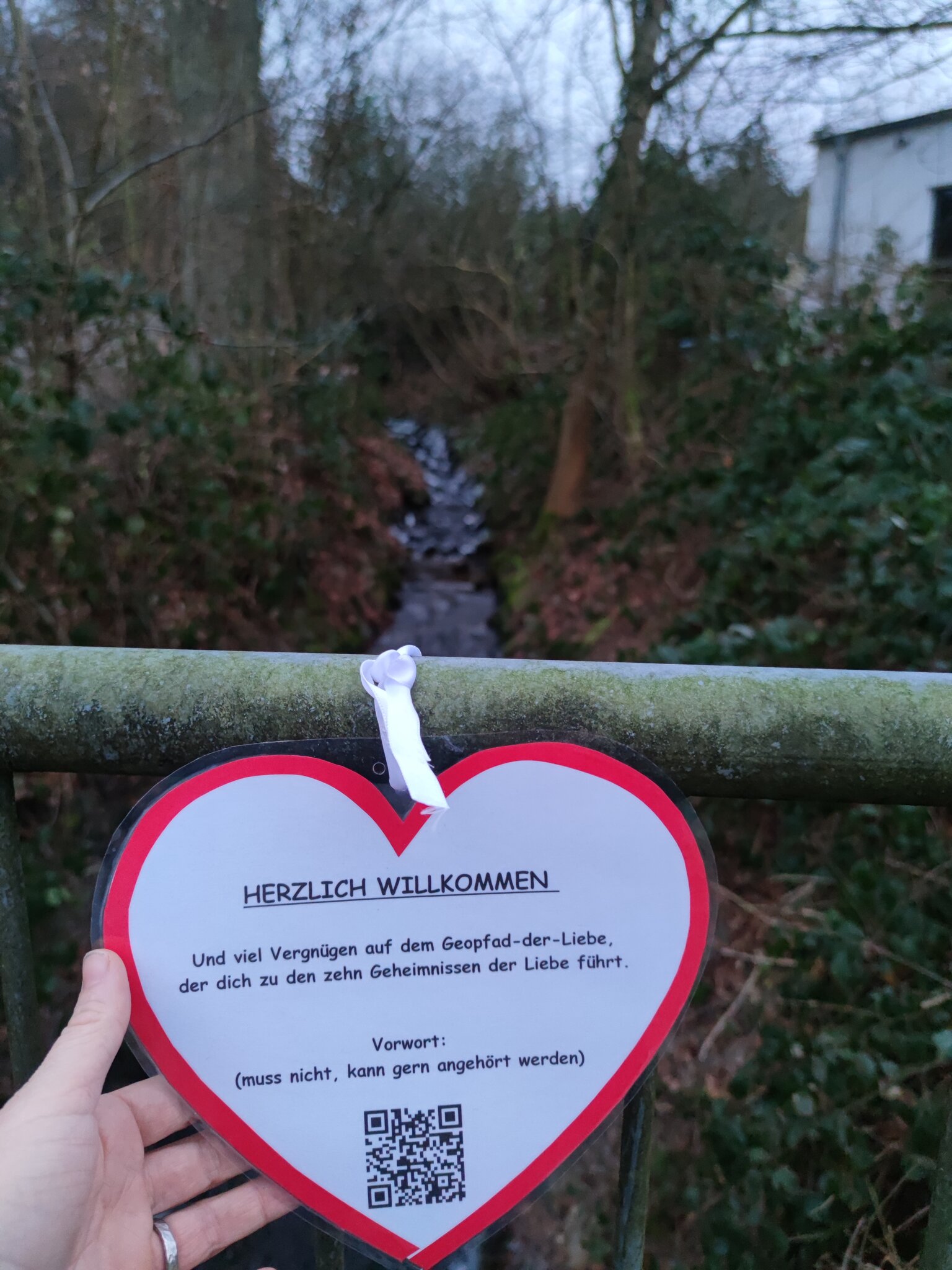 die 40 geheimnisse der liebe