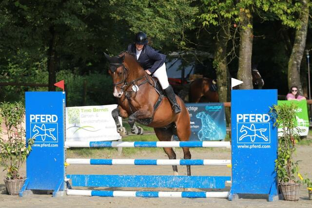 Carina Quabach meistert mit ihrem Pferd Quibonacci Q auch diesen Sprung.  | Foto: Silke Orbach