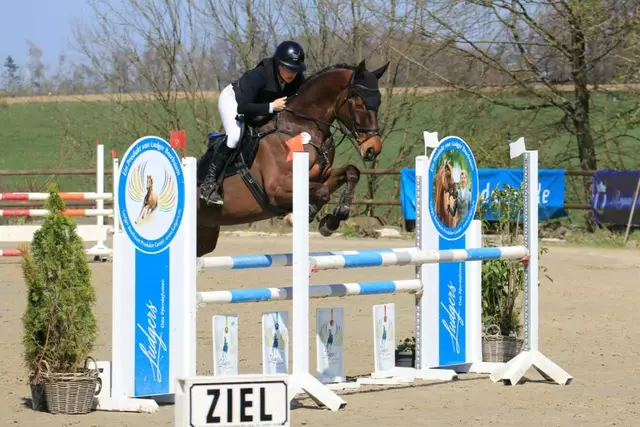 Jaqueline Heider mit Orlando beim letzten Sprung.  | Foto: Silke Orbach