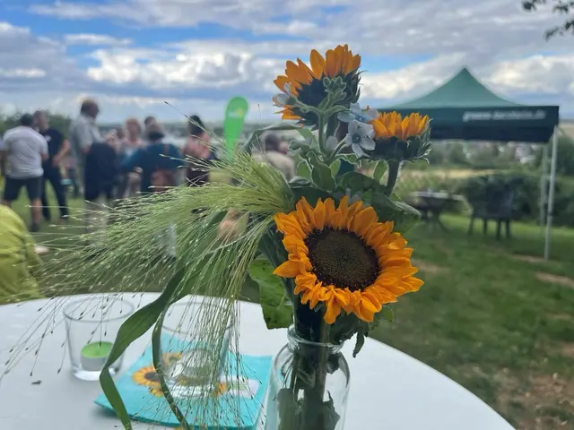 Foto: Symbolfoto: B90/Die Grünen