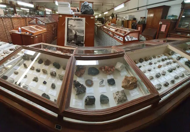 Historische Sammlungsschränke, Fossilien und Mineralien aus aller Welt gehören zu den Schätzen des Rheinischen Mineralienkontors Dr. F. Krantz in Bonn-Dransdorf.  | Foto: Mineralienkontor