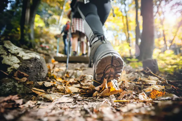 Der Eifelverein Frechen hat heute rund 200 Mitglieder. Laut Jahresbericht werden im Jahr gemeinsam zwischen 900 und 1000 Kilometer auf „Schusters Rappen“ zurückgelegt.  | Foto: Stock/Adobe.com/leszekglasner