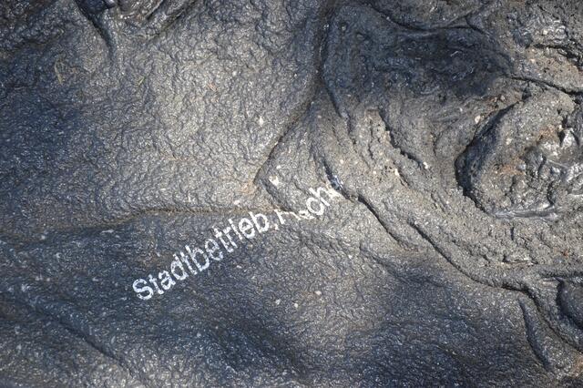 Bereits seit mehreren Jahren brennen in Frechen Mülltonnen. Trotz intensivierter Bemühungen in den vergangenen Wochen konnten der oder die Täter bisher nicht gefasst werden.  | Foto: Lars Kindermann