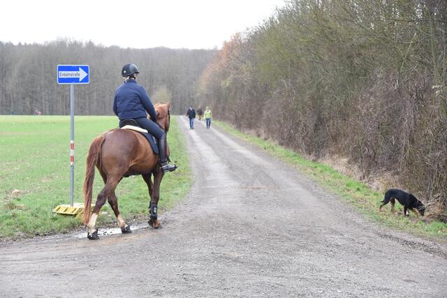 Nicht wundern – nicht nur Spaziergänger und Reiter tummeln sich auf dem Wirtschaftsweg auf dem Rodderberg. Der Weg wird bis Ende Mai auch als Umleitungsstrecke von den Besuchern des Golfplatzes oberhalb von Niederbachem genutzt.