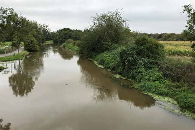 Die Erft in Bergheim-Glesch.  | Foto: Erftverband