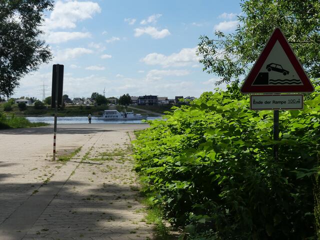 Höhe Natorampe und auf der anderen Seite in Widdig verliefe die optimale Tunnelversion für eine Rheinquerung aus Umweltsicht.  | Foto: Bracker