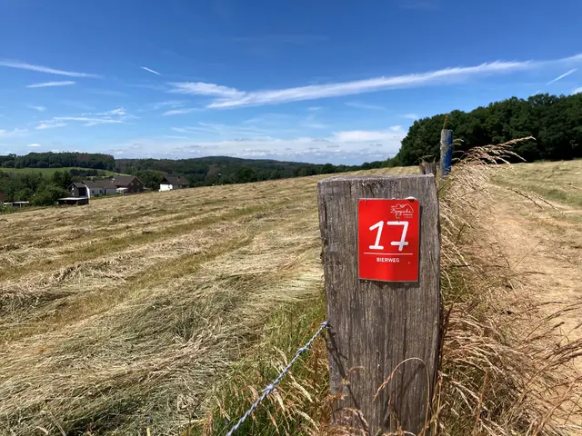 Auf geht‘s und einfach der weißen 17 auf rotem Grund folgen.   | Foto: Christina Rothe/Erzquell Brauerei