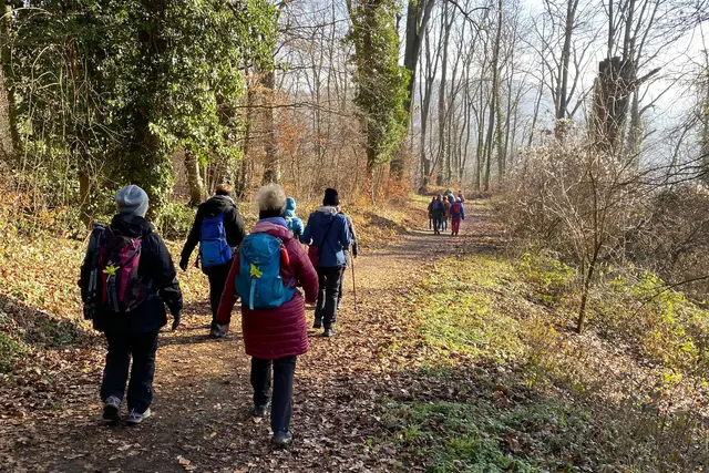Durch den winterlichen Wald des Siebengebirges führte die erste Wanderung des Jahres des TV Hangelar. | Foto: TV Hangelar