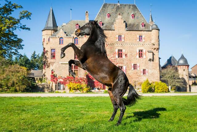 Foto: Mike Goehre – Der FotoSchmied