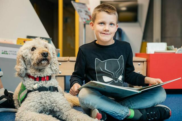Nach dem Vorbild des Lesehund-Projekts aus den USA besucht ab Januar Zuhörhündin Bailee zweimal im Monat die Bergheimer Stadtbibliothek, um die Kinder beim Lesenlernen zu begleiten 
 Foto: Sascha Bause