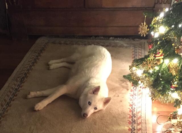 Foto: Montserrat Manke