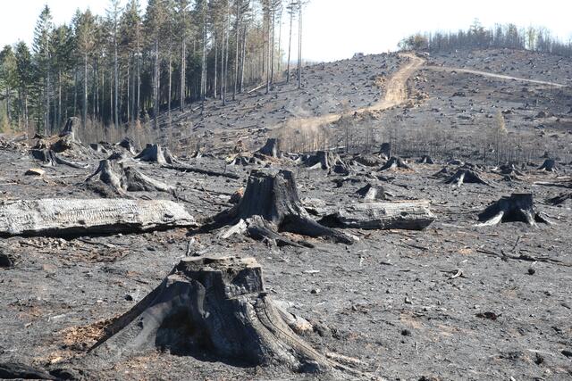 Diese Aufnahme wurde nach dem Brand auf dem Hömerich in Gummersbach im Jahr 2020 aufgenommen.  | Foto: OBK