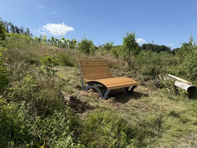 Zwei dieser Waldsofas wurden im Bereich der Wiehltalsperre aufgestellt. | Foto: © Bühler GmbH