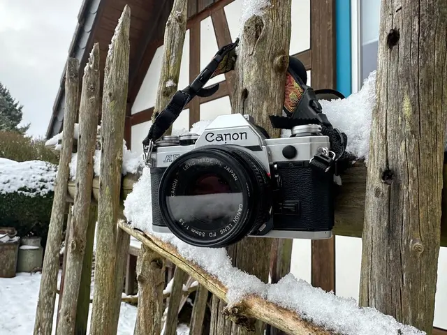 Teilnehmen können Hobbyfotografinnen und -fotografen ab 18 Jahren, im Umkreis von 15 Kilometern rund um Bad Münstereifel. | Foto: Bürgerstiftung Bad Münstereifel