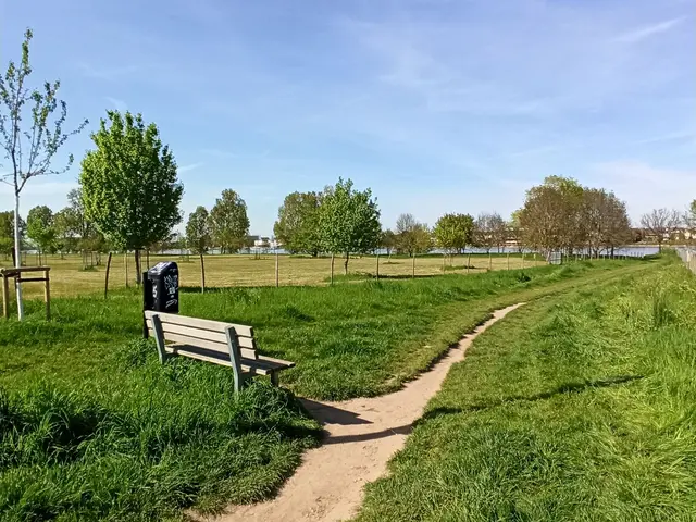 Das Projekt „Rheingärten“ sollte zwischen Auenweg und Leinpfad realisiert werden. | Foto: Frank Engel-Strebel