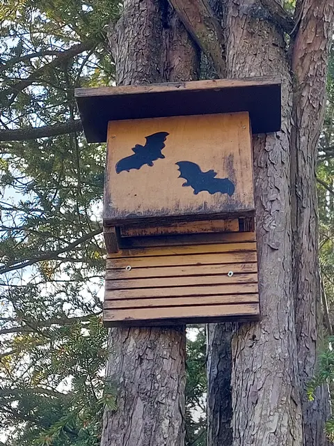 Hier wohnt „Batman“, die Fledermaus.  | Foto: Schmidt