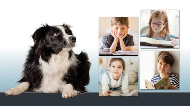 Therapiehund Caesar hört den Kindern beim Vorlesen aufmerksam zu.  | Foto: Stadtbibliothek