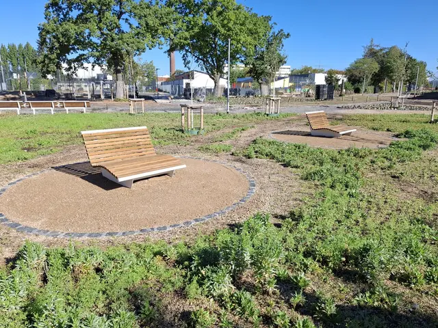 Die neuen Liegebänke gehören zu den Ruhebereichen im Stadtpark Ost. Die neue Grünanlage wird am Donnerstag, 22. Oktober, mit einem Bürgerfest offiziell eröffnet. | Foto: Stadt Brühl