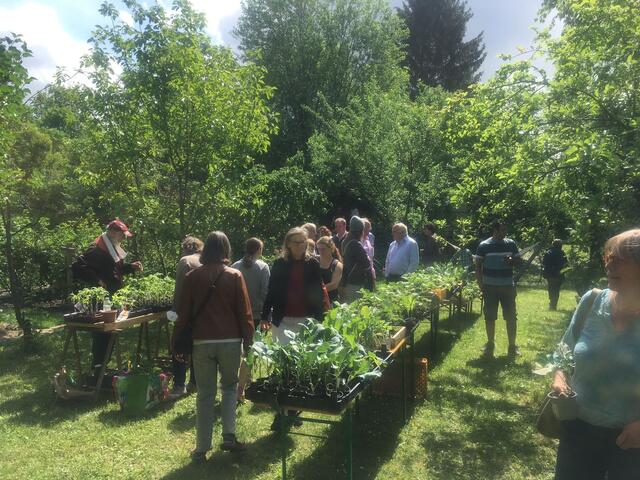 Auf langen Tischen wurde die ganze Pflanzenvielfalt für den heimischen Garten angeboten. | Foto: Rolf Meier