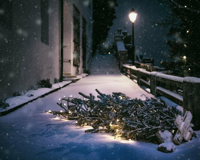 Foto: Pixabay
