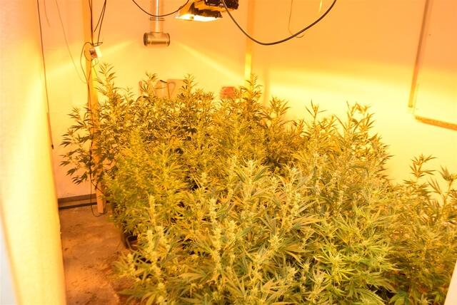 Foto: Polizei Rhein-Erft-Kreis