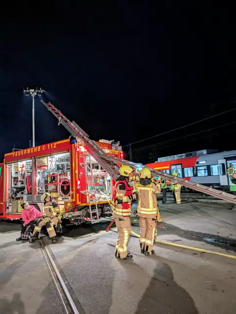 Auch die Drehleiter kam bei deer Übung zum Einsatz.  | Foto: fes