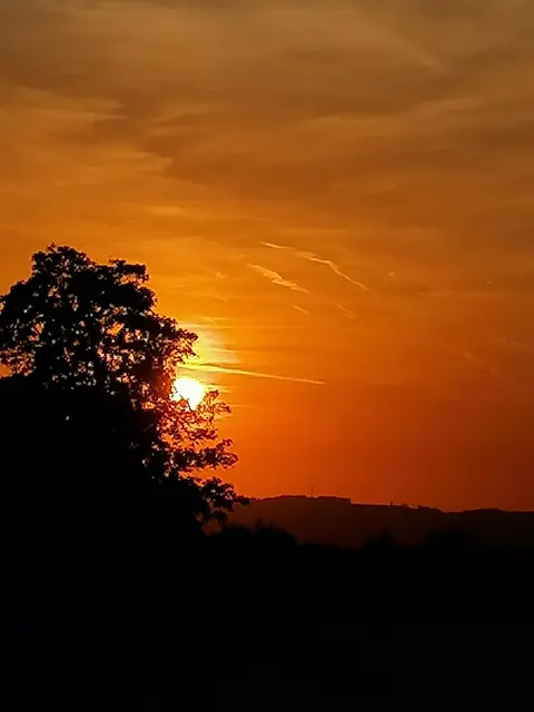 Vielleicht ist ein prachtvoller Sonnenuntergang zu sehen.  | Foto: Biologische Station