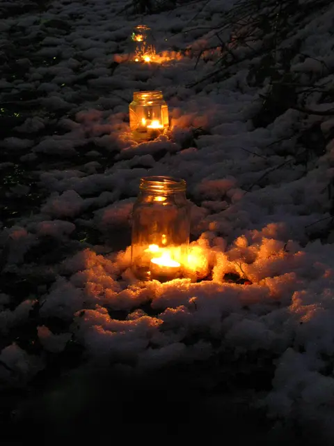 Die Tour findet am 12. Dezember statt.  | Foto: © Biologische Station
