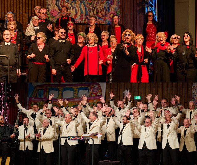 Unter dem Motto „Good Vibrations“ feierte der Rock- und Popchor „Swingphonie“ sein zehnjähriges Bestehen.  | Foto: Germania