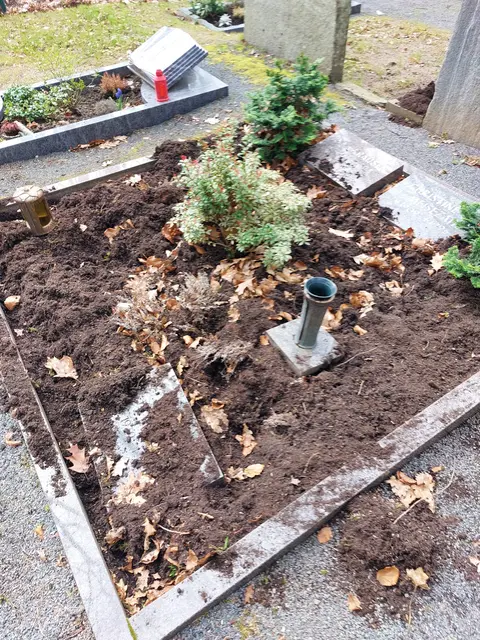 Die bestehende Ordnung hat das ungebetene Borstenvieh auf dem Schladerner Friedhof von Grund auf umgekrempelt.  | Foto: Schmidt