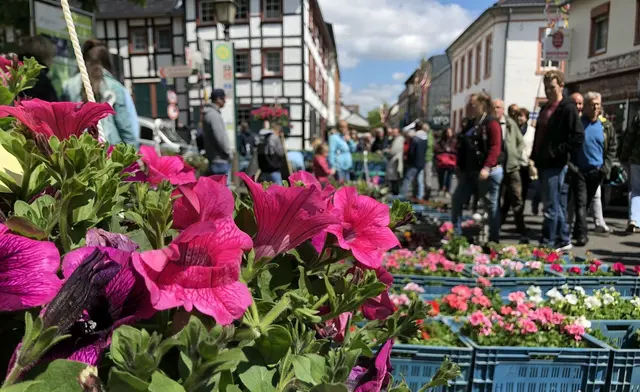 Blumen, Pflanzen und Gartenaccessoires prägen das Bild des traditionellen Blumen-, Kleintier- und Bauernmarkts, der am Muttertag im historischen Ortskern von Kommern zwischen Fachwerkhäusern stattfindet. | Foto: Vereinskartell Kommern