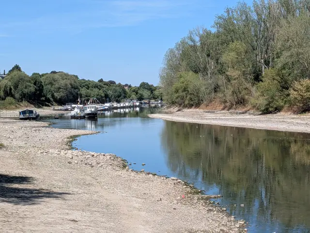 Aufgrund des historischen Niedrigwassers ist der Abstand zwischen dem Herseler Rheinufer und dem Herseler Werth so niedrig wie seit Jahren nicht mehr. Die Yachten und Boote im Herseler Hafen liegen auf dem Trockenen. | Foto: fes