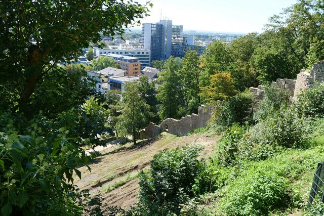 Der Felsengarten wird bis Ende des Jahres instandgesetzt. Neben der Wegeführung finden hier noch Streu- und Wildobstbäume ihren Platz.  | Foto: Woiciech