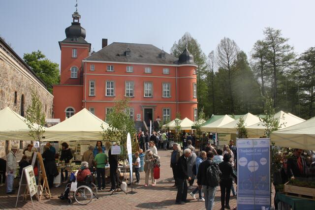 Am Maifeiertag findet von 11 bis 17 Uhr das Wahner Heide Fest im Burghof der Burg Wissem statt. Auf die kleinen und großen Besucher wartet ein buntes Angebot mit vielen Aktionen vor Ort und Exkursionen in die Heide. | Foto: Stadt Troisdorf