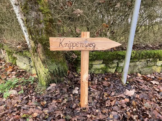 Der hölzerne Wegweiser zeigt die Richtung an.  | Foto: Eifelverein