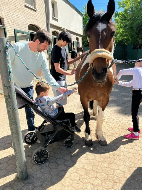 Das Pony putzen und liebkosen - ein tolles Erlebnis für die Kinder.
  | Foto: Kinder- und Jugend Reitverein Köln-Bonn