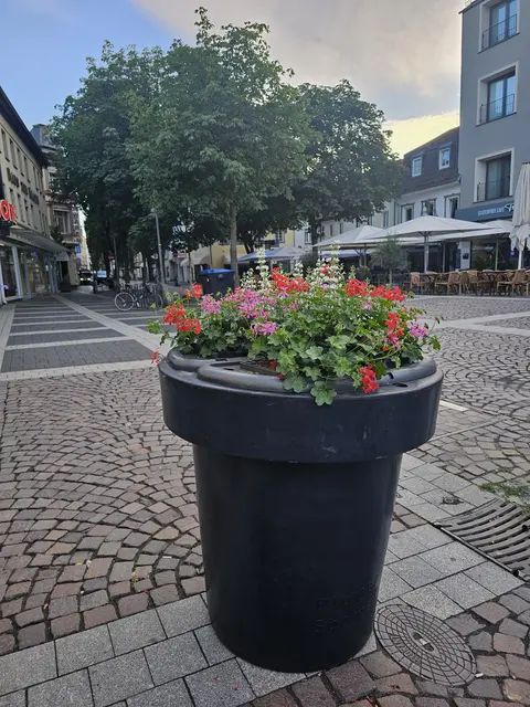 Blumen setzen Akzente in der Innenstadt. | Foto: Stadt Brühl