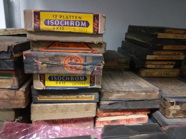 Über 50.000 Glasplatten der Fotografen Theodor Meuwsen und Emil Hardt werden im Archiv gelagert. Sie bilden die Grundlage der Ausstellung.  | Foto: Tanja Reinhold