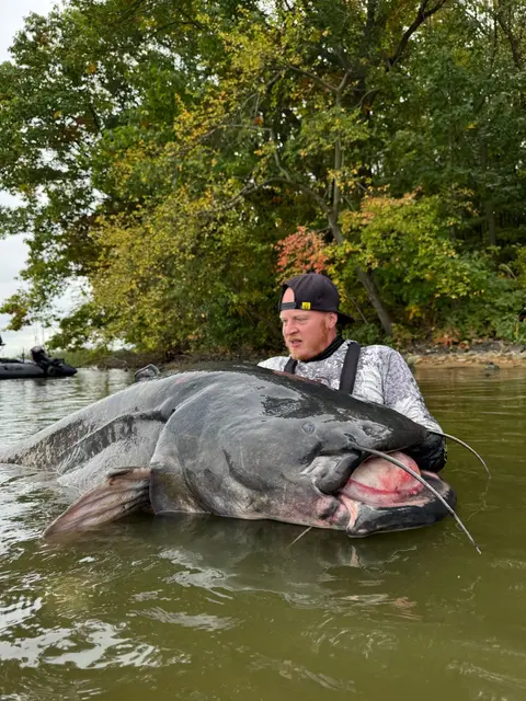 Schöner Brocken:Eine halbe Stunde kämpfte Oliver Schäfer mit dem Fisch, ehe er den dicken Brocken an Land bringen konnte.  | Foto: mikado-total-fishing/pp
