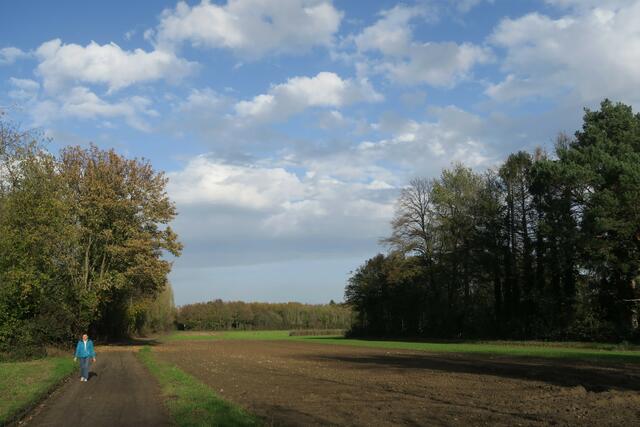 Fußgänger sind nördlich der Rösrather Straße am Rather See noch ungestört unterwegs.