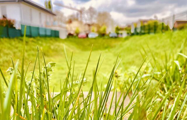 Landschaftspflegerischen Arbeiten werden jetzt an den Versickerungsmulden durchgeführt. | Foto: Stadt Niederkassel