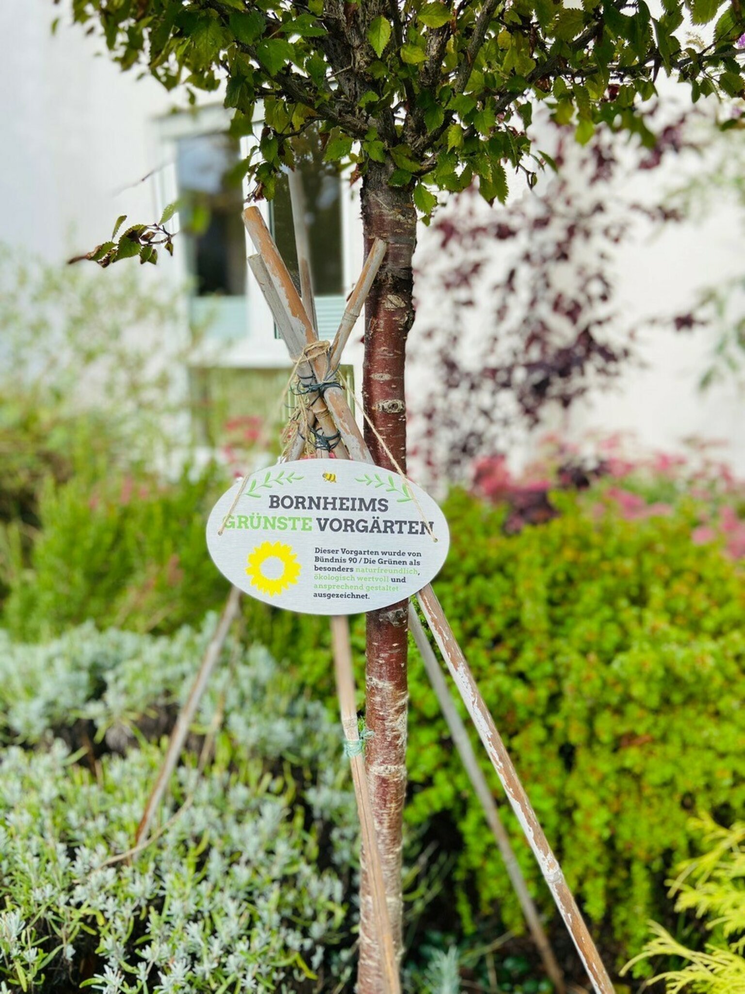 Grüne Gärten Plaketten für fünf „grüne Bornheim