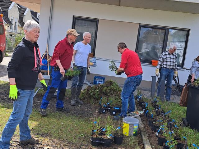 des HildegardHaus 155 Stück Sträucher und Stauden