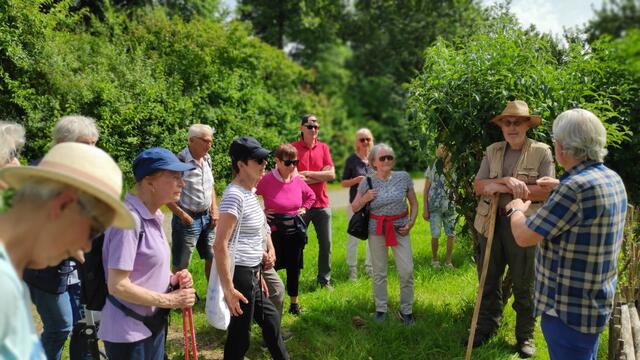 Dr. Holger Strick (2. von rechts) beim Rundgang im Landschaftsgarten Aggerbogen inmitten der Weidenbauten.  | Foto: Gebel-Höser