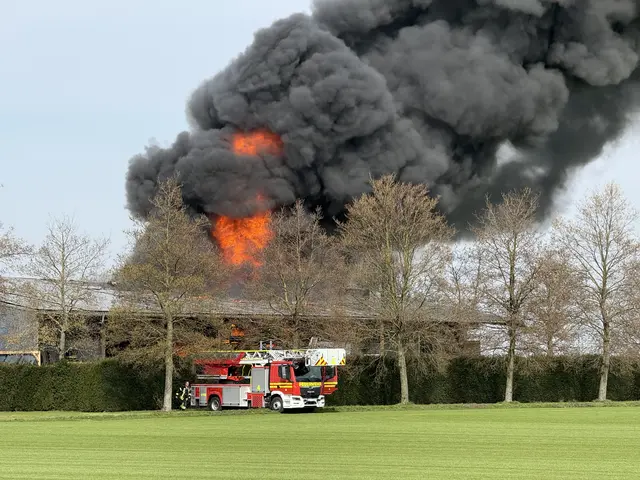 Die dichte, schwarze Rauchwolke war weithin zu sehen.  | Foto: Feuerwehr