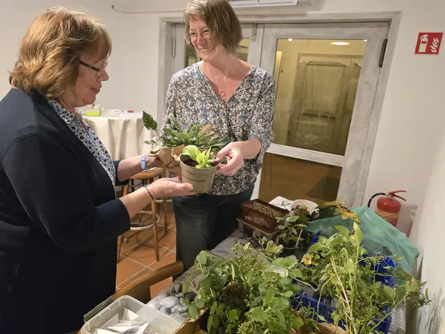 Beim Stammtisch des Tauschrings Engelskirchen und Umgebung wechselten in Bickenbach zahlreiche Pflanzen, Setzlinge und Samen die Besitzer. | Foto: Claudia Benner