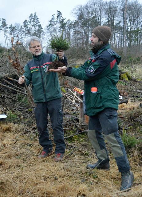 Die beiden Förster Martin Barth und Martin Müller erklärten, wie man die Bäume richtig in die Erde bringt.